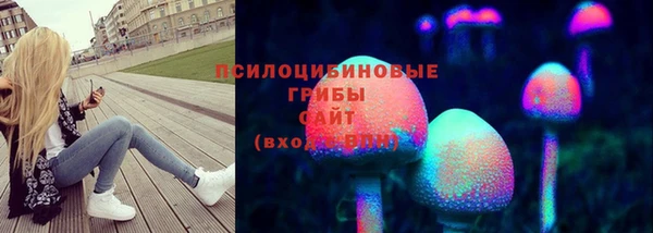 mdpv Инсар