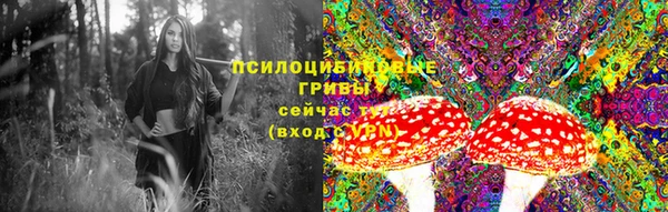 mdpv Иннополис