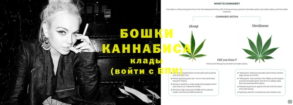 mdpv Иннополис