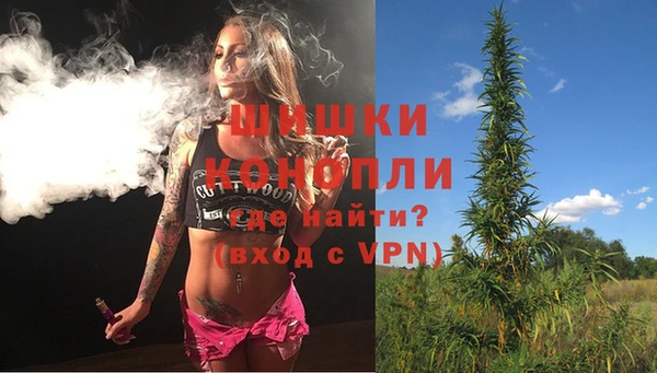 mdpv Инсар