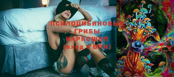 mdpv Инсар