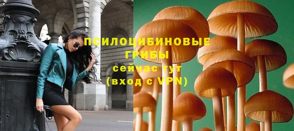 mdpv Иннополис