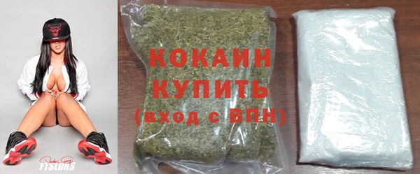 mdpv Инсар