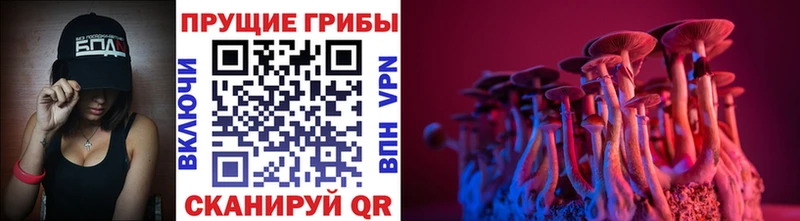 Купить где  Добрянка  Галлюциногенные грибы мухоморы 